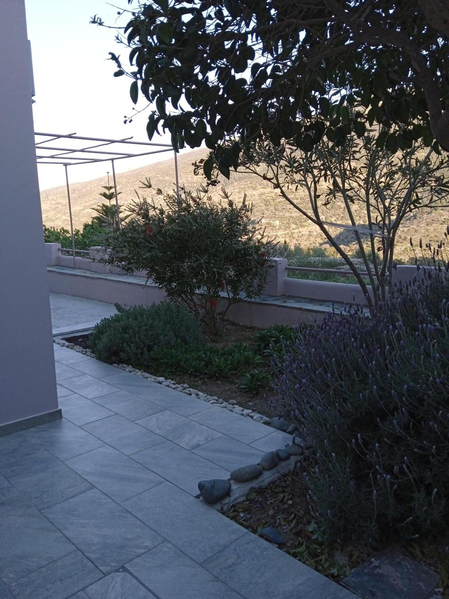 Andros Lighthouse Apartments Mesaria  외부 사진