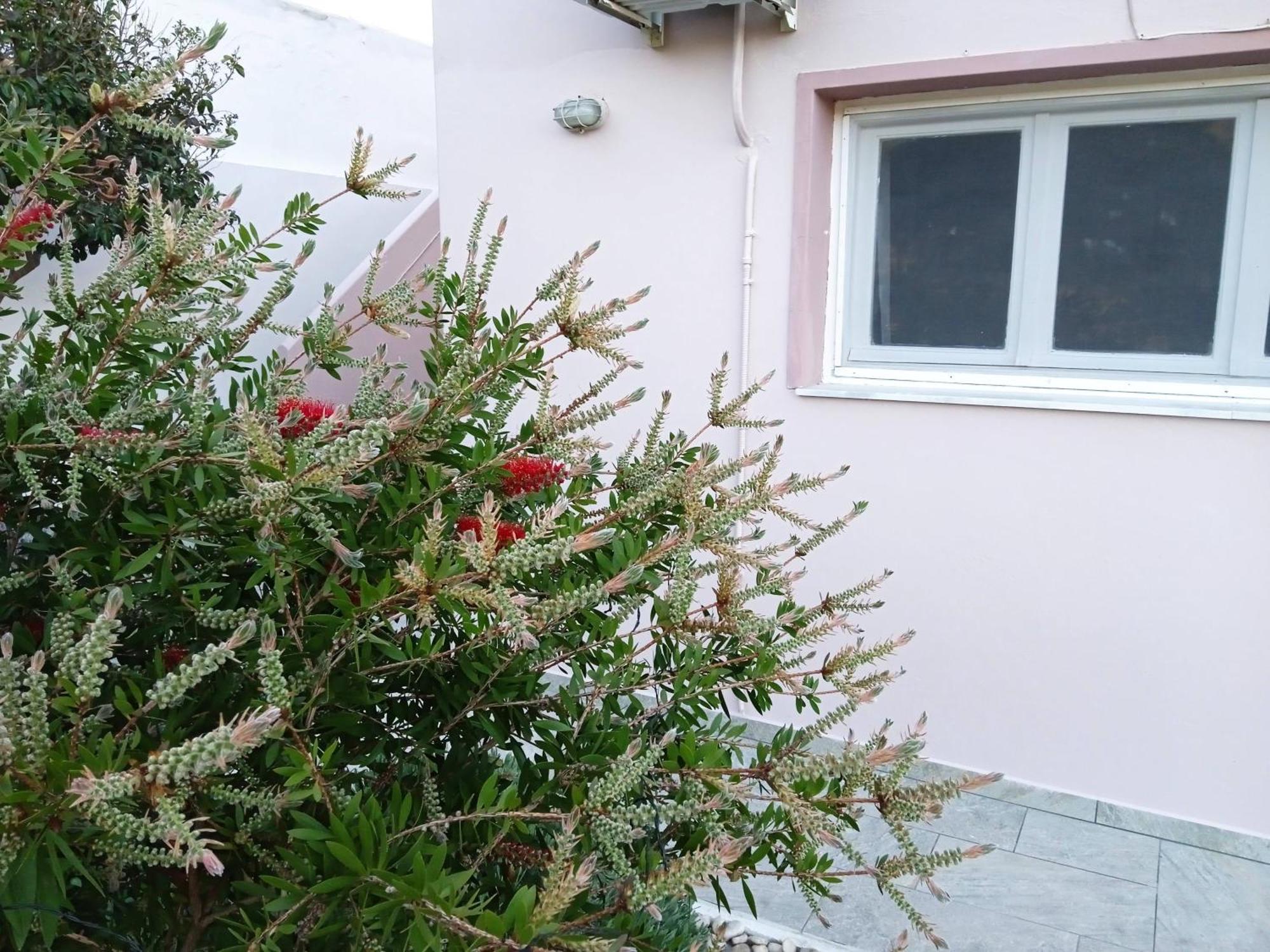 Andros Lighthouse Apartments Mesaria  외부 사진